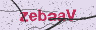 Ungültiger Sicherheitscode